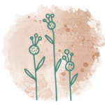 icon3